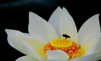 羅克韋爾自動(dòng)化與思科再推新架構(gòu)，致力降低工業(yè)自動(dòng)化環(huán)境的安全風(fēng)險(xiǎn)