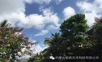 一起讀報-11月28日