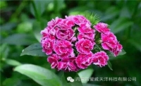 一起讀報(bào)-1月24日