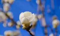 一起讀報(bào)-3月26日
