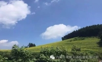 一起讀報(bào)-7月15日